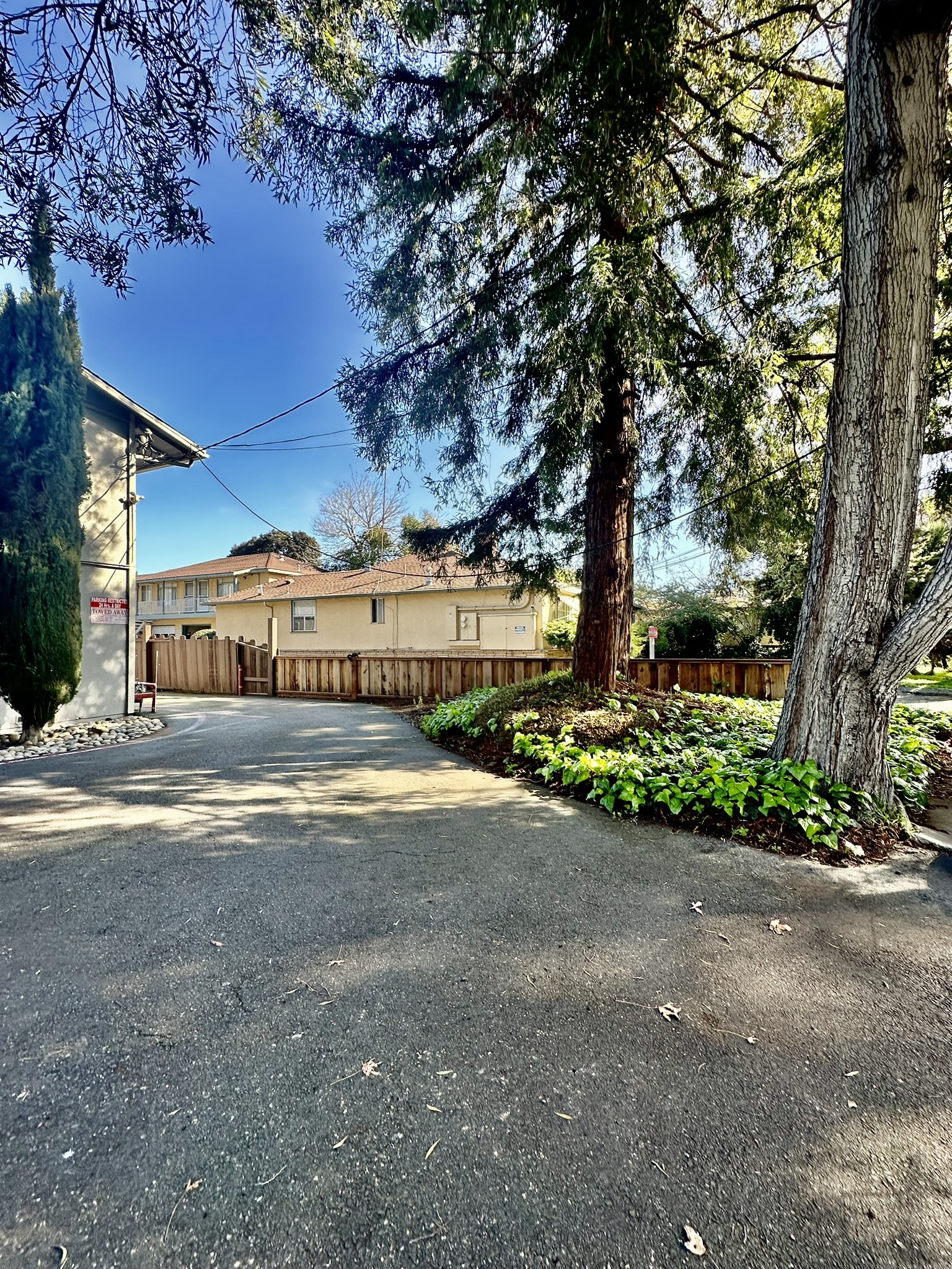 Colony Street Apts photo 2